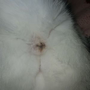 Meet your Posher, Ed